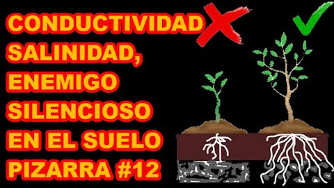 ¿Cuál es la causa de la alta conductividad del agua?