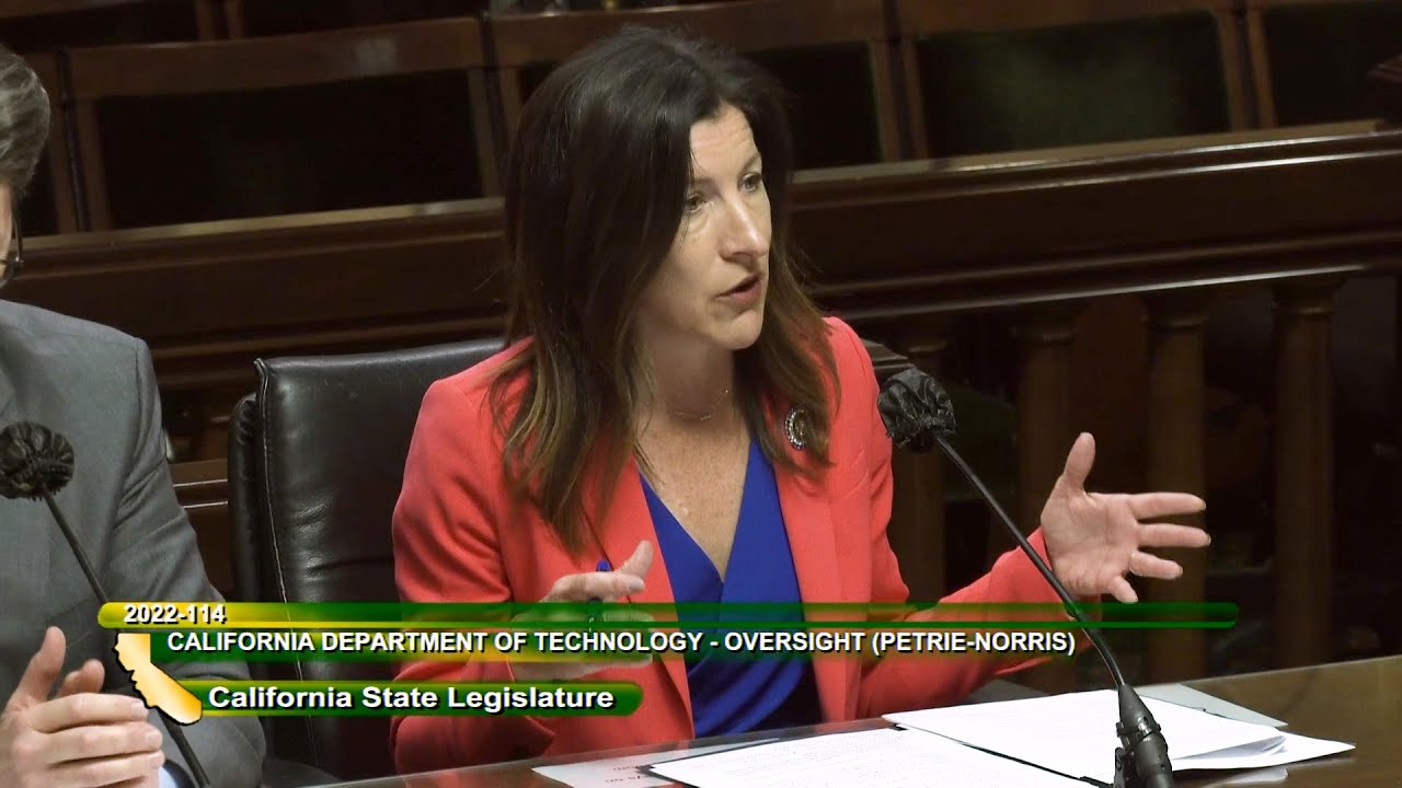 State IT Projects Oversight Audit Request Approved by Legislature