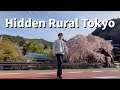 You Won’t Believe This Is Rural Tokyo / Rural Japan Series 🇯🇵