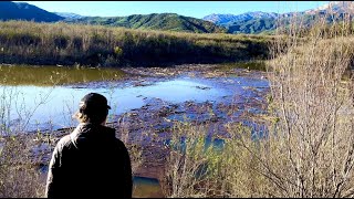 Lake Casitas Water Level Update!!! (January 2023) #lakecasitas