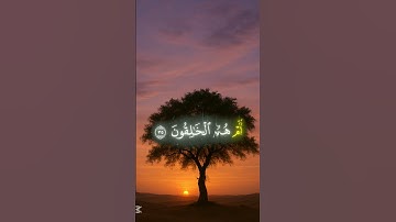 آيات من سورة الطور بصوت هادئ ومريح #القرآن_الكريم #Quran #تلاوة
