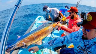 155 Pound Blue Marlin Torneo De Pez Vela 2024 #bluemarlin  #fishing #ixtapa #zihuatanejo @ixyzih