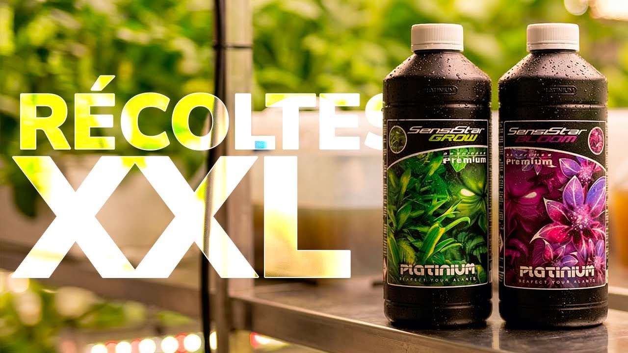 Ces engrais vont SUBLIMER vos cultures ! 🌱💥 Sensistar