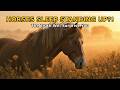 Horses Sleep Standing Up?! The Truth Will Surprise You