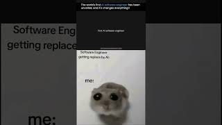 AI Software Engineer?  #chatgpt #memes #apacheairflow #programming