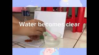 Science experiment for kids (Dissolving)