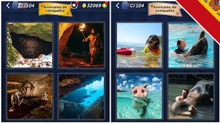 4 Fotos 1 Palabra - Animales de compañía - 25.03.2025 - Soluciones Enigma diario - Marzo de 2025 screenshot 3