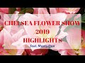 Charming Chelsea Flower Show 2019 - Highlights 🌻🌹🌸🌺🌷