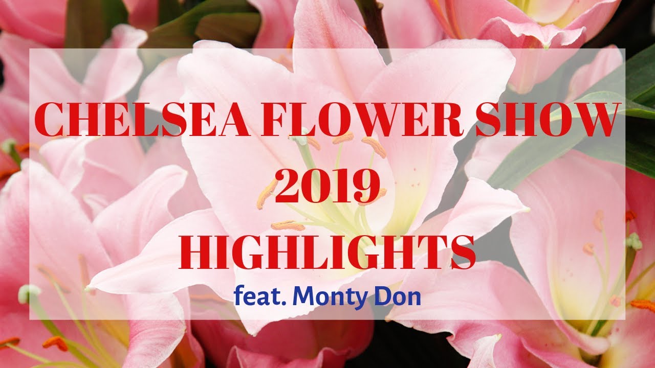 Charming Chelsea Flower Show 2019 - Highlights 🌻🌹🌸🌺🌷