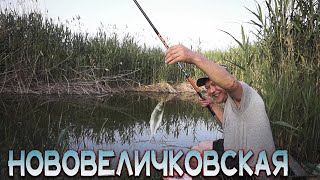 Рыбалка динской район Нововеличковская #понура
