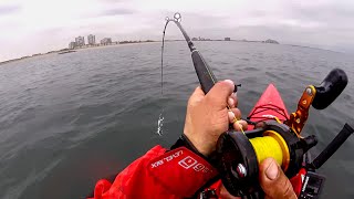 Nearly One Hour Of Kayak Striped Bass (Lost Clips, A Few Cows, Mega Bluefish, & Plenty Of Kookery)