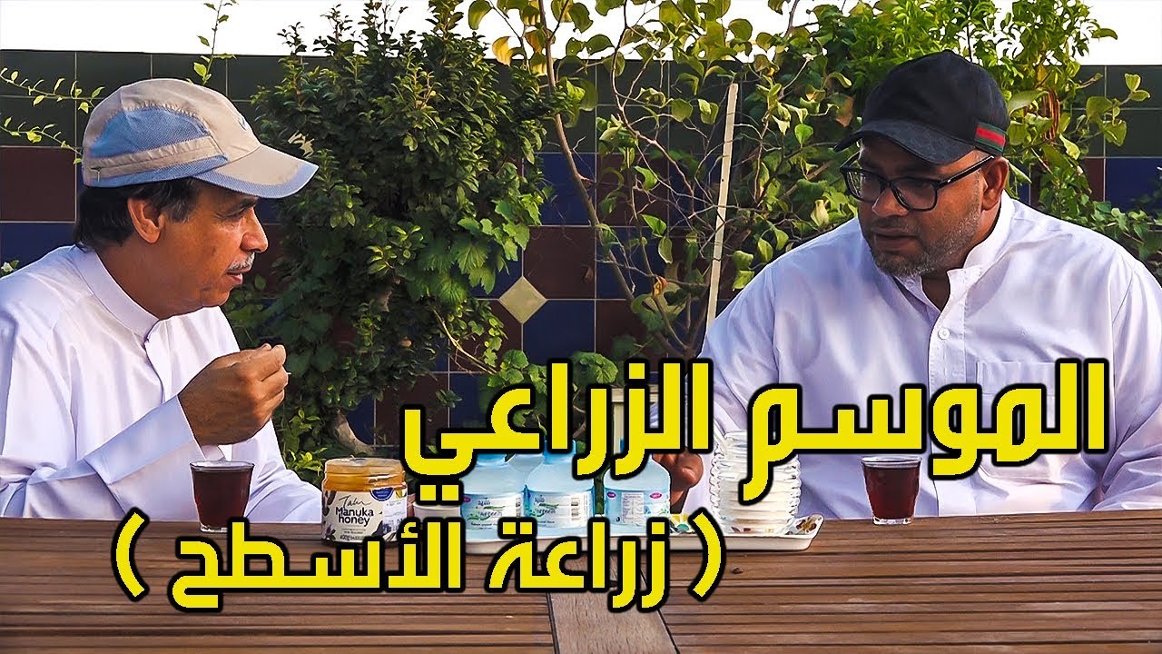 الموسم الزراعي الجديد (زراعة الاسطح) Roof garden