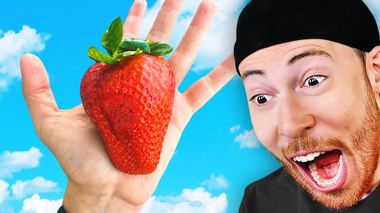 People Who Won the Food Lottery!