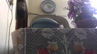 Capture 20130708 3
