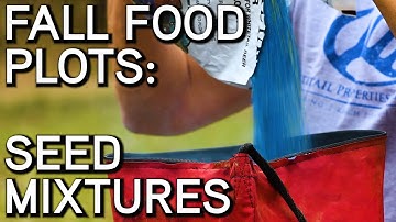 Fall Food Plots | Seed Combinations for Incredible Attractiveness!