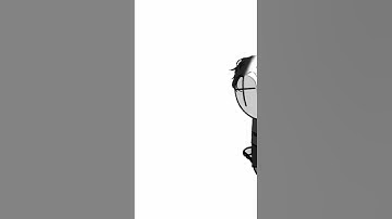 wolk #shorts #short #youtubeshorts #madnesscombat #animation #cool #shortvideo #trending #fyp #fypシ