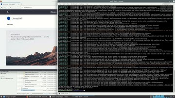 7.1 DevOps Exercise Installing Liferay on a Full Profile Server