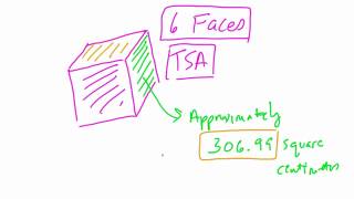 Celebrity Estimating Surface Area Wealth