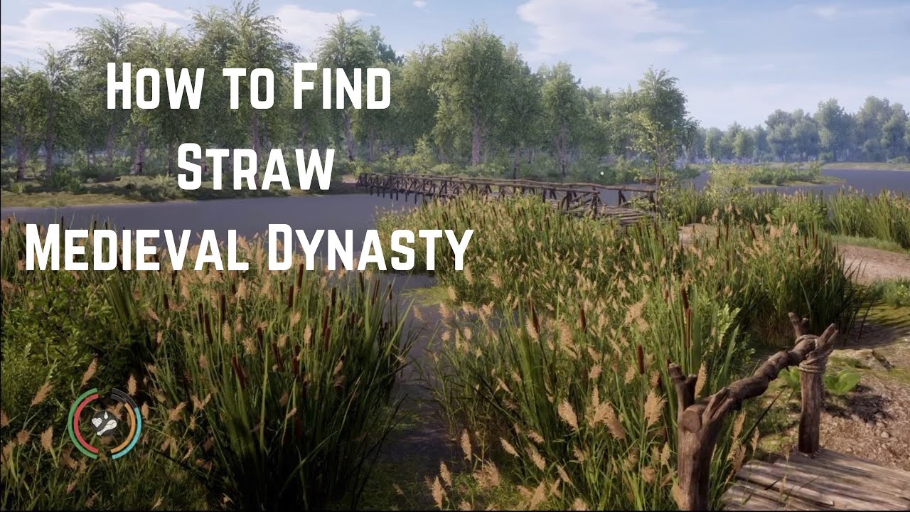 How to find Straw in Medieval Dynasty