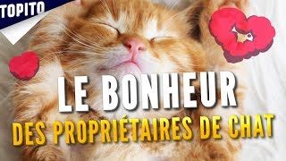 AVOIR UN CHAT, C'EST LE MEILLEUR TRUC DU MONDE