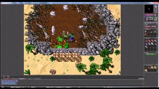 Tibia - First Giant Spider