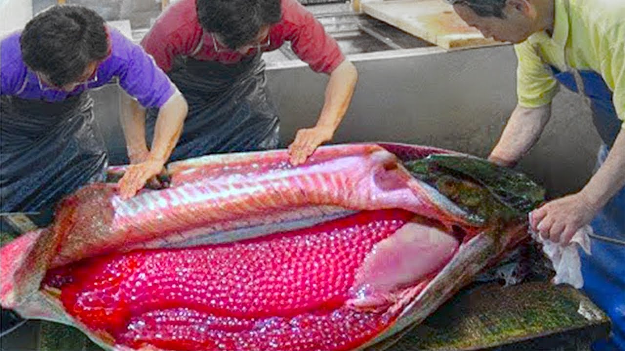 TOP 15 Most Unusual Foods In The World YouTube top-15-most-unusual-foods-in-the-world-youtube