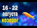 КОЗЕРОГ 🌍 ПОЗИТИВ во ВСЕХ СФЕРАХ 🌍 неделя с 16 по 22 августа. Таро прогноз гороскоп гадание