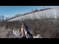 .410 Pheasant Hunting | Late Season Roosters