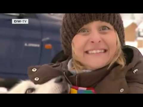 Video des Tages | Mit dem Hundeschlitten durch den Schnee