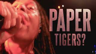 Nonpoint - Paper Tigers - Lyric Video