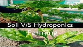 SOIL V/S HYDROPONICS &quot;THE ADVANCE FARMING&quot;