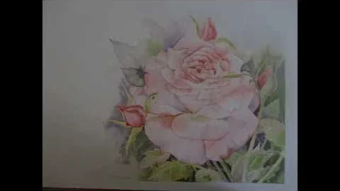 Marilyn Clarke  Summer Roses