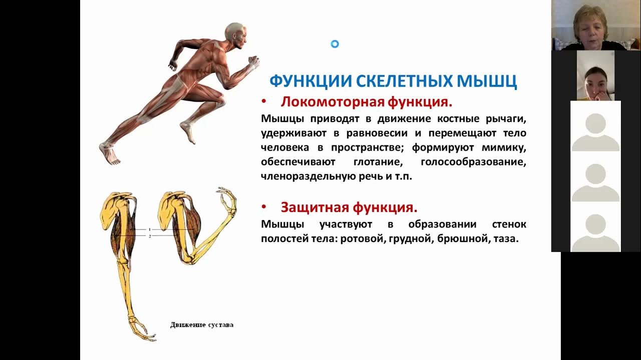 1. Общая миология. - YouTube