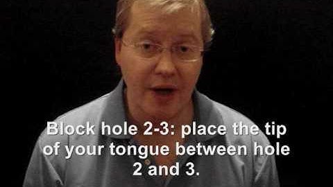 Octave tongue blocking - harmonica lessons for beginners