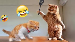 So Funny! Funniest Cats and Dogs 2024  Funny Animal Moments # 18