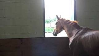 A Tour Of Hilltop Farm In Colora Md