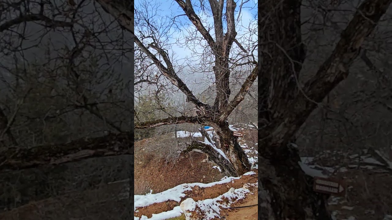 mountein snow raining 