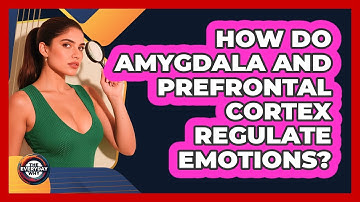 How Do Amygdala And Prefrontal Cortex Regulate Emotions? - The Everyday Why