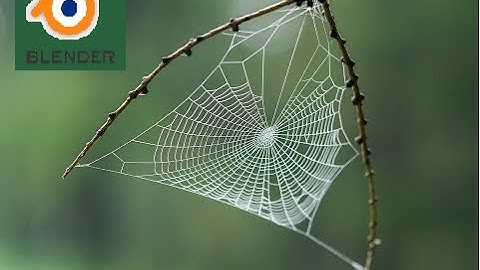 Quick tutorial | How to Make Spider Webs in Blender 2.81