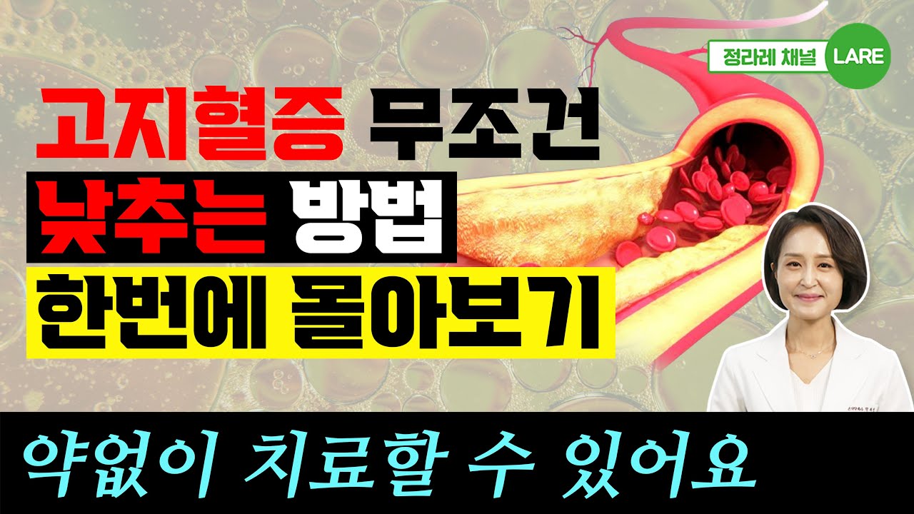 고지혈증 있을 때 꼭 피해야 하는 음식 외 고지혈증, 콜레스테롤 관리 모음집. 60분 재생 [정라레]