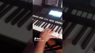 Enya - Silver Inches - ( Keyboard Cover )#shorts