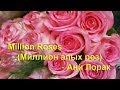 Million Roses - Ани Лорак (with lyrics)