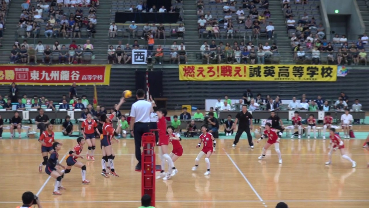 春高バレー18 注目選手や優勝予想 出場高校や可愛い女子にイケメン男子も調査 へ そうなんだnews