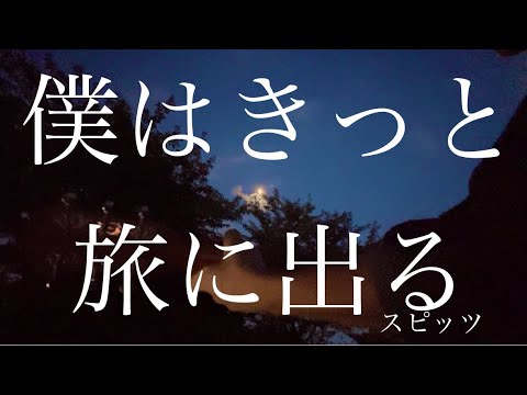 僕はきっと旅に出る 弾き語ってみた #弾き語り #歌ってみた #cover #スピッツ 