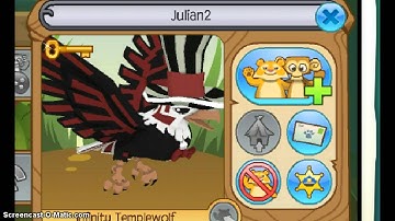 INTRO AND OUTRO IMPRESSIONS