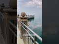 أحيانا تعيش حلم أجمل من الصدق الجبيل الصناعية
