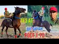 АНГЛИЧАН ~ РОСТ 1.70 УРМАТ АКЕДЕ 🐎💥