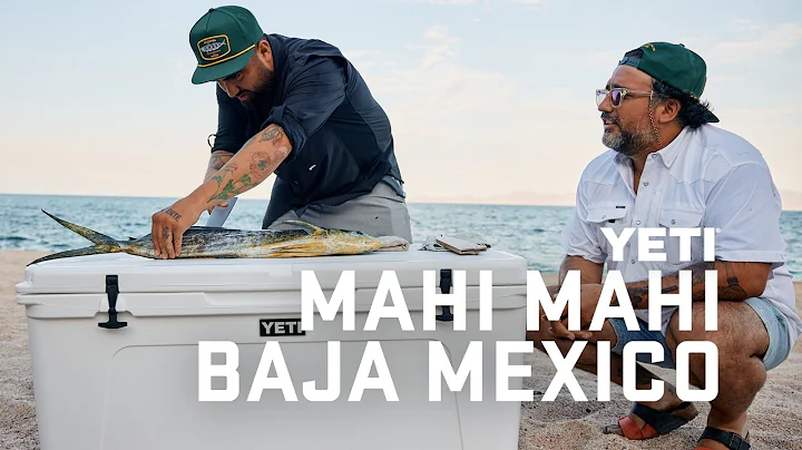 Two Mexican Chefs Fish & Cook Mahi Mahi in Baja California Sur