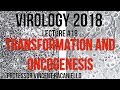 Virology Lectures 2018 #18: Transformation and Oncogenesis