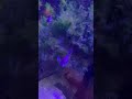 Blue Fish 🐟 Aqua Zoo in Düsseldorf - Germany 🇩🇪